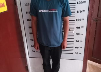 Polsek Sidamanik Tangkap Tersangka Pelaku Curanmor