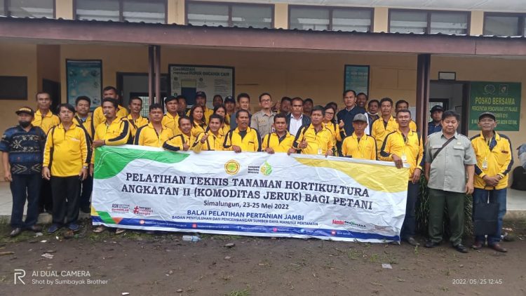 BPP Jambi Lakukan Penyuluhan Kepada Petani Jeruk Kecamatan Purba