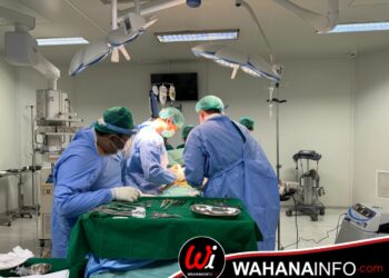 RS Adam Malik Lakukan Operasi Transplantasi Ginjal Ke-7, Selanjutnya Bisa Mandiri